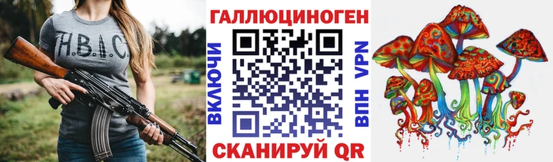 где можно купить   Дюртюли  Псилоцибиновые грибы мухоморы 