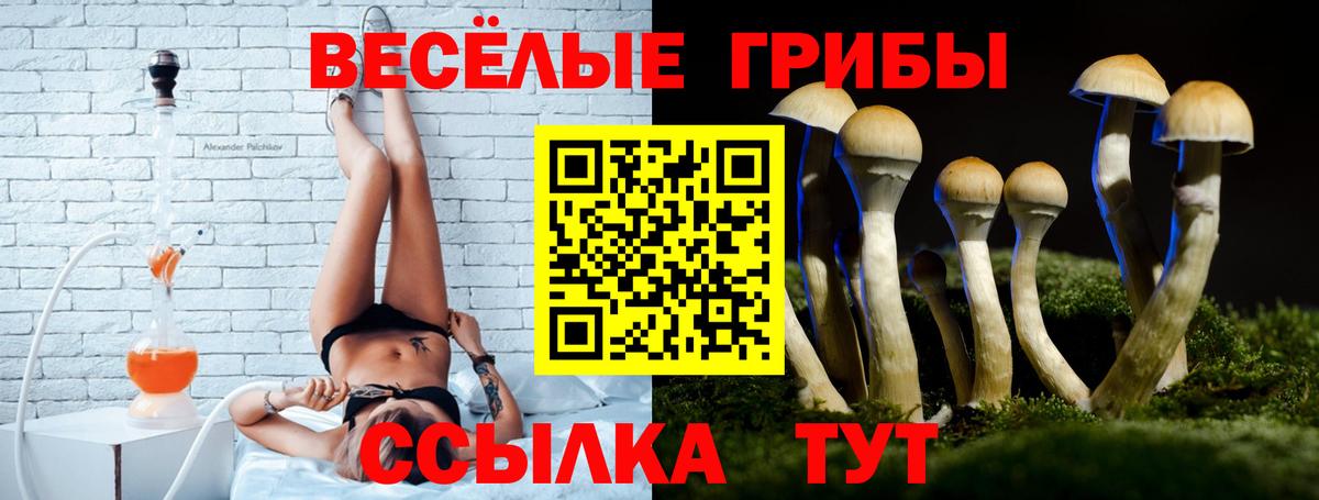 Псилоцибиновые грибы прущие грибы  Вход с VPN  Дюртюли 